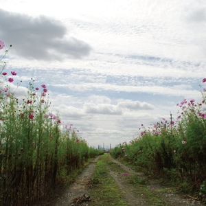 国产老头老太婆操逼视频
