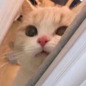 国产老头老太婆操逼视频
