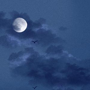 国产老头老太婆操逼视频
